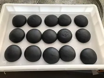 Impasto al carbone vegetale, colore nero profondo